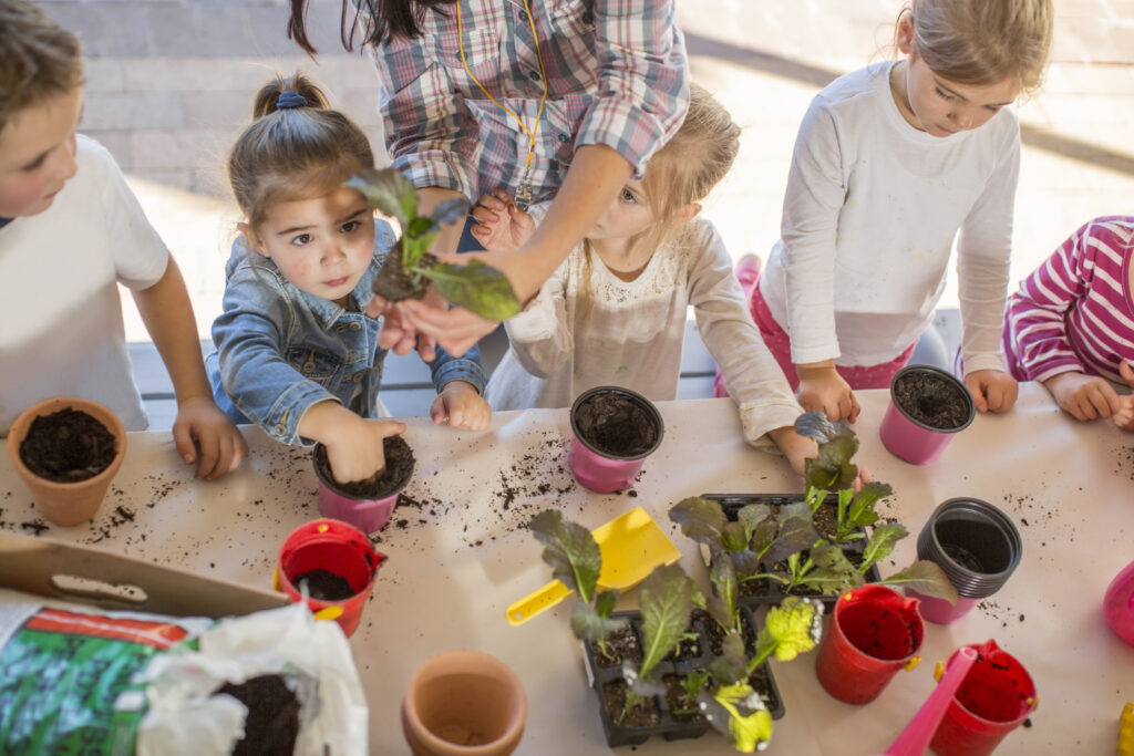 A Day in the Life of a Little Nestling: Experience Our Reggio Emilia Inspired Preschool in West Linn