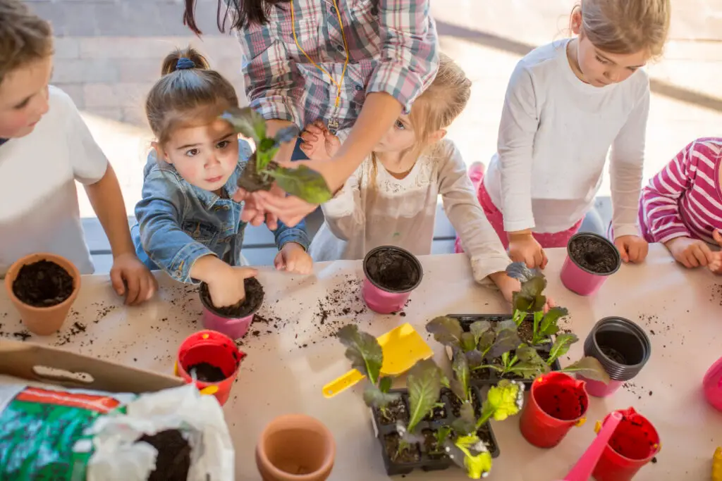 A Day in the Life of a Little Nestling: Experience Our Reggio Emilia Inspired Preschool in West Linn