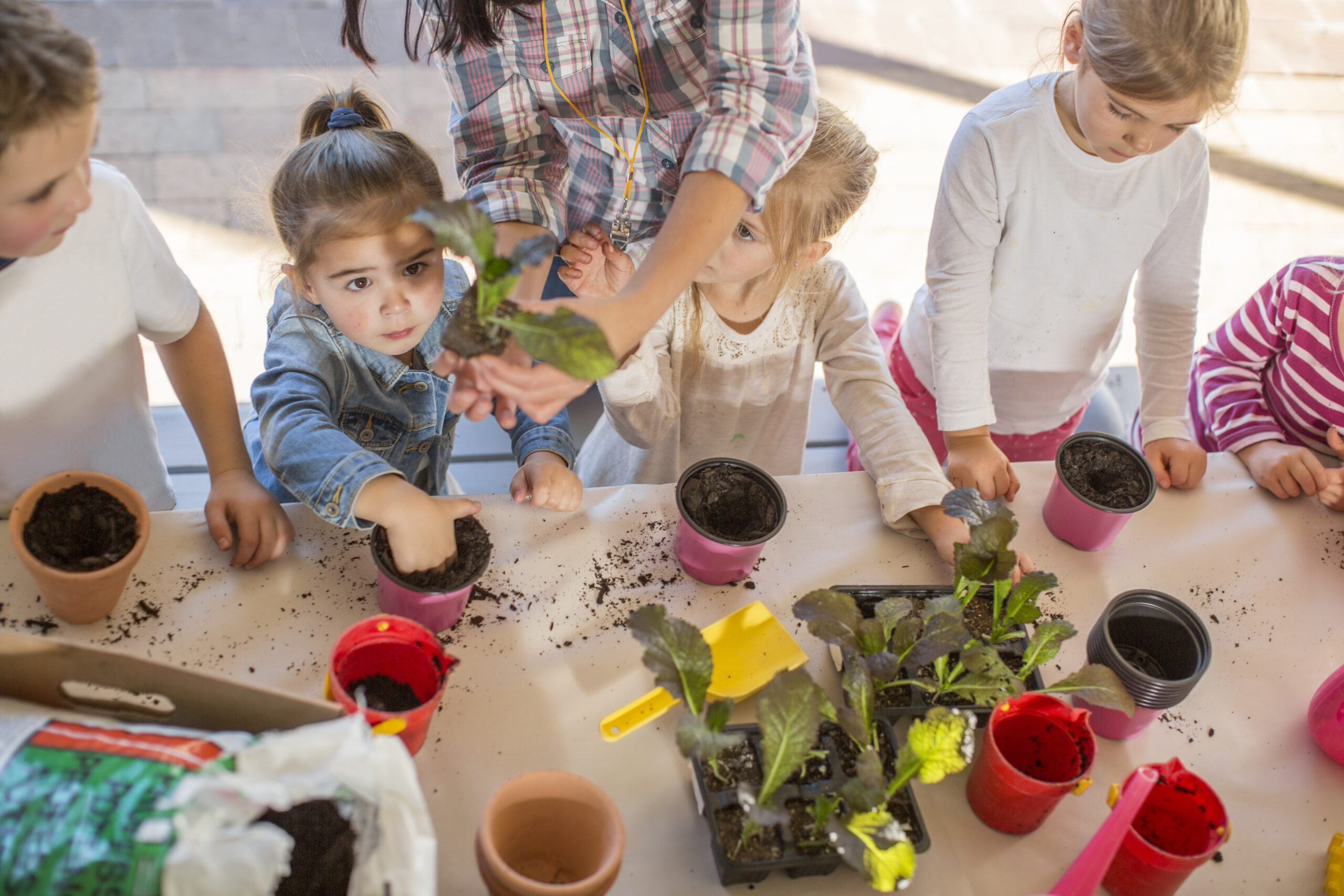 Children engaged in creative learning at Little Nestlings Early Learning Center in West Linn